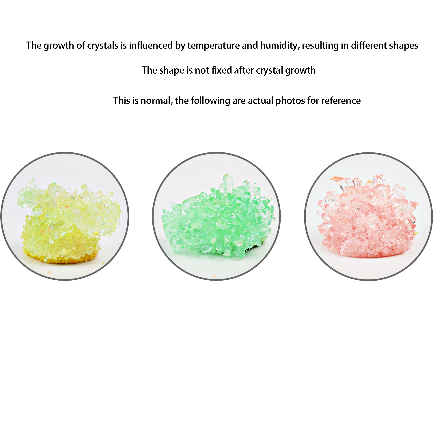 Crystal planting DIY scientifi - Parent Of Plant review and price